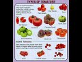 types of tomatoes shorts subscribe viralshort