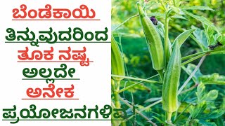 #youtube ಬೆಂಡೆಕಾಯಿ ತಿನ್ನುವುದರಿಂದ ತೂಕ ನಷ್ಟ ಅಲ್ಲದೆ ಅನೇಕ ಪ್ರಯೋಜನಗಳಿವೆ#helthtips