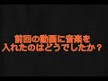 現在飼い猫ののなぎくんの様子（音楽あり）