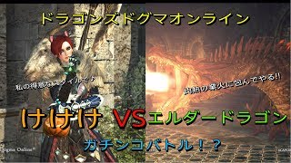 【DDON】アルケミスト（ソロ）でLv.90エルダーさんに挑んでみた！