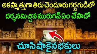 ఊహించని విధంగా గర్భగుడిలో దర్శనమిచ్చిన మురుగన్.! వెంటనే పూజారులు చేసింది తెలిస్తే