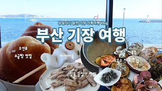 부산 기장 여행/제과 명장 카페·짚불 곰장어·전복죽 맛집·육수재료 구입\u0026당일치기 가족여행 알차고 즐거운 코스♪