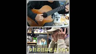 今日の日はさようなら#森山良子#カバー曲#弾き語り#宮野茂樹