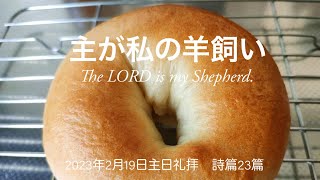 2023年2月19日 主日礼拝 栄シャローム福音教会　詩篇23篇 『主が私の羊飼い – The LORD is my Shepherd. 』小山英児牧師