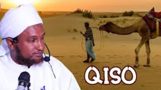 Labo Qiso Oo Cajiib Ah | Nin Reer Baadiye Ah Iyo Nabiga (Scw) Dhex-Martay | Sh. Xuseen Cali Jabuutii