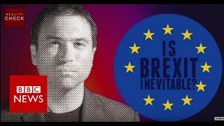 Reality Check: Is Brexit inevitable? -  BBC News