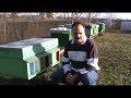 🔴 Apiary Ovidiu - Beekeeping in our house