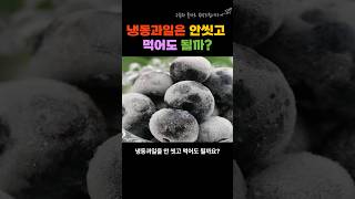 냉동과일은 안씻고 먹어도 될까?