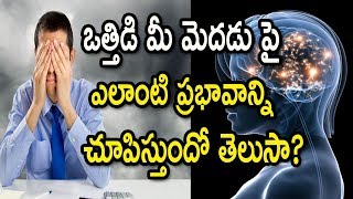 ఒత్తిడి మీ మెదడు పై ఎలాంటి ప్రభావాన్ని చూపిస్తుందో తెలుసా? | How Stress Affects Our Brain ?