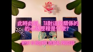 此時此刻🎈Ta對這段關係的的心路歷程是什麼？🐻I What is his/her mental process I Timeless I Pickacard♦️