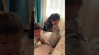 孩子放假了，家里的猫开始遭殃了浪 萌娃和萌宠 当人类幼崽遇到小动物 看得出猫猫已经快崩溃了 情绪好稳定的小猫 这小猫谁养谁不迷糊啊