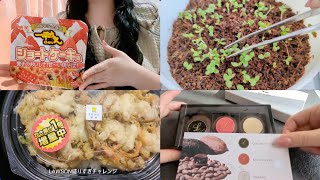 Lunch and snacks/ASMR/Japanese food/Mukbang/Eating Sound/먹방