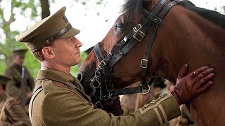 A War Horse Experiences The Battles In France Before Reunite With His Owner