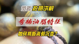 微距拍摄讲解，奇楠油性特征，如何判断真假沉香？