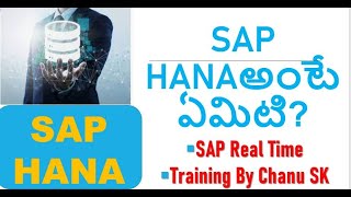 SAP HANA అంటే ఏమిటి?| What Is SAP HANA| All about SAP HANA Data base| SAP FICO in Telugu| Chanu SK