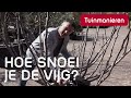 De vijgenboom snoeien: hoe doe je dat? | Tuinmanieren