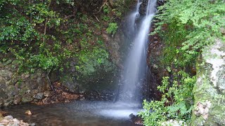 ヒーリング　Healing　不動滝　三重県松阪市　大石不動院　Fudo waterfall in Fudo temple in Oishi Matsusaka Mie　Nikon D500