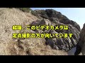 伊良湖岬恋路ヶ浜横の磯浜散策 リマスター版 【まッつんの大冒険シリーズ】