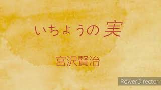 朗読「いちょうの実」宮沢賢治