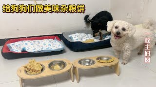 给收养的3只流浪狗做健康杂粮饼，营养又美味，残疾小狗吃得香