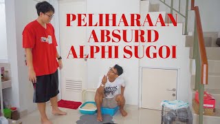 PELIHARAAN ABSURD ALPHI SUGOI - NUMPANG MAKAN