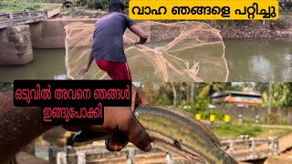 വാഹ മീൻ ഞങ്ങളെ പറ്റിച്ചു 😣| Amazing Cast Net Fishing in Kerala | Most Satisfied village Net Fishing