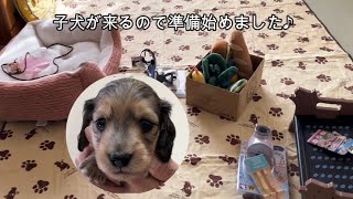 子犬が来る準備（ダックスフンド）（ミニチュアダックス）