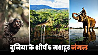 Top 5 Forests in the World in Hindi | वन्य जीवन और प्रकृति की अद्भुत दुनिया | 5 मशहूर जंगलों |