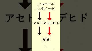 【犬でも分かる】お酒に強くなることは可能なのか！？科学的に解説！#shorts