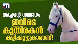 കുതിരക്കമ്പം മൂത്തു, മക്കൾക്ക് കളിക്കൂട്ടുകാരായി തോമസ് വാങ്ങി നൽകിയത് കുതിരകളെ! | Horse