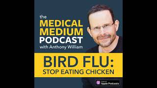 085 Bird Flu: Stop Eating Chicken