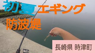 6月初夏 の 防波堤  エギング！！長崎県時津町 日並バイパス下