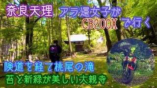 ＊険道の先に桃尾の滝と美苔の大親寺＊