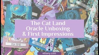 Cat Land Oracle Deck Unboxing and First Impressions