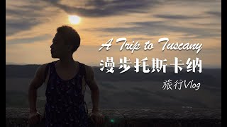 漫步意大利托斯卡纳 -  Tuscany Vlog 佛罗伦萨 | 锡耶纳 | 皮恩扎