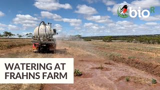 Water, Water Everywhere! Watering Our Frahns Farm 2020 Seedlings | Bio·R