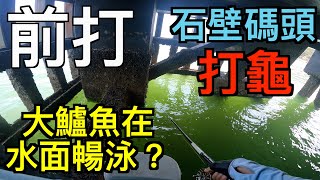 石壁碼頭前打丨打龜丨香港釣魚丨中文字幕丨4K