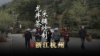 The 26th station Zhejiang | The picking and frying process of Longjing tea, recording the daily