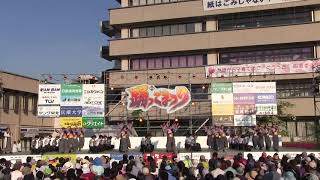 【公式】有閑踊り子一座飛舞人　紅ノ折　加古川踊っこまつり　本部競演場　2日目