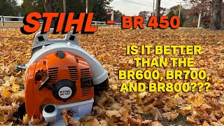 STIHL BR450 Leaf Blower.  Why Did I Choose It Over the BR600, BR700, and BR800?