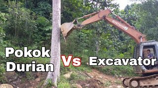 Pokok Durian vs Excavator Hitachi