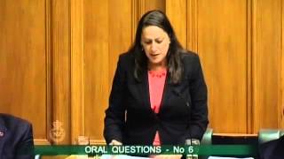 26.03.15 - Question 6: Hon Judith Collins to the Associate Minister for Social Development