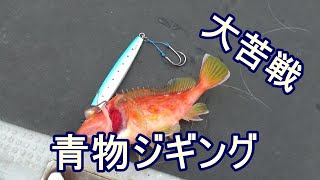 【ジギング探求】舞鶴のポセイドンで青物ジギング　〔GW　釣り１回目〕