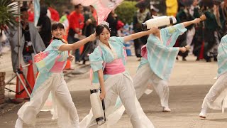 おどるんや〜第19回紀州よさこい祭り〜から　　〜ゆうかり〜ず一番組み〜　｢ヤゴコロオモイ」