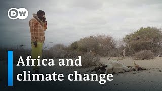 Nairobi climate talks seek African solutions to global warning | DW News