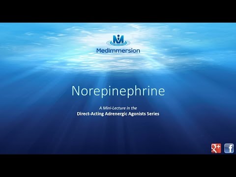 Norepinephrine Norepinephrine
