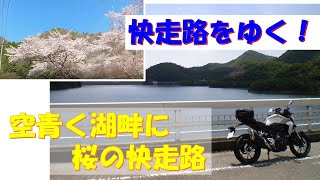 【ツーリング】兵庫県：快走路！爽やかな湖畔の並木　兵庫県多可町　翠明湖周回