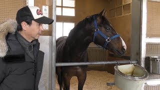 【皐月賞】クラージュゲリエ・池江泰寿調教師　反撃の侍