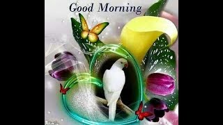 GOOD MORNING video  - Whatsapp, Wishes, Quotes, Message, Greetings