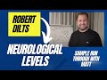 LOGICAL LEVELS - ROBERT DILTS - MATT'S EXAMPLE RUN THROUGH